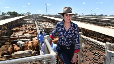 Qld plans livestock biosecurity task force