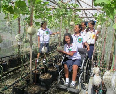 Civic study can help make solid citizens