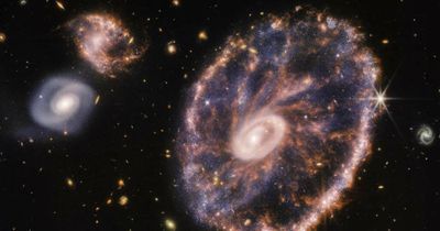 Cartwheel Galaxy has us doing mind cartwheels