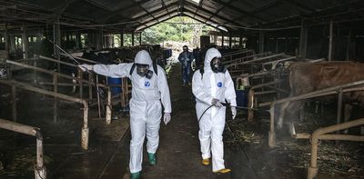 A foot and mouth outbreak in NZ would affect more than agriculture – tourism needs a plan too