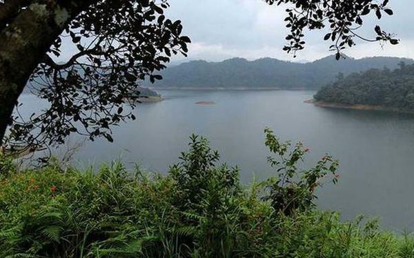 Kakki-Anathodu dam to be opened at 11 a.m. as water level rises