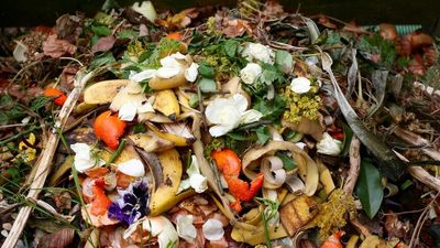 ACT partners with federal government to build new composting and recycling facilities