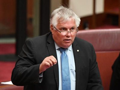 Former senator in Adelaide mayoral bid