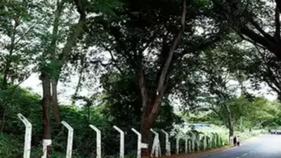 Mumbai: Activists ask govt to obey SC order on Aarey Colony