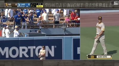 Mics caught Juan Soto politely asking this Dodgers home run to stay in play