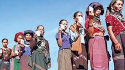 Names of 1,259 Bru voters deleted from Mizoram's electoral register
