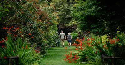 The beautifully-designed Greater Manchester garden which is completely free to visit