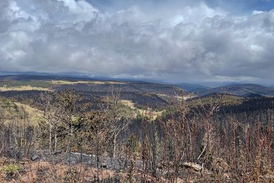 Fourth person reported drowned in New Mexico wildfire area floods