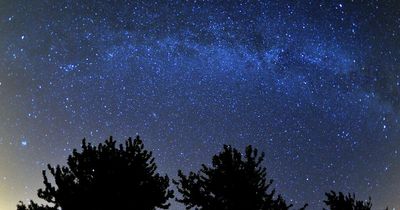 When to spot Perseid meteors in UK as 'insane' number spotted last night