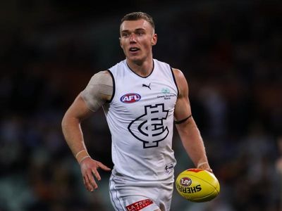 Two-match ban for Carlton skipper Cripps