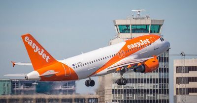 Spain-bound easyJet flight makes emergency return to Manchester after bird strike