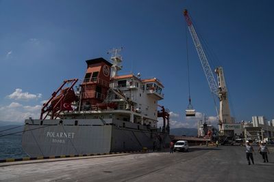 Ship carrying grain from Ukraine arrives in Istanbul