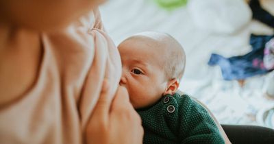 How often should a newborn be fed? NHS advice on breastfeeding and using formula