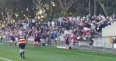 Rugby stadium railings collapse as fans plunge onto concrete below
