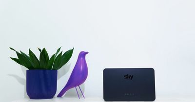 Sky is giving away free months of free broadband in BT and Virgin price war