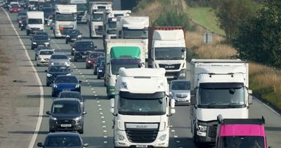 Youngsters could drive trucks without a test in major government shake-up