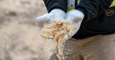 Drax swoops for Canadian pellet plant to bolster strategic supply