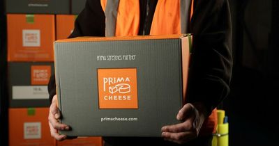 Prima Cheese sees revenues and profits increase despite range of challenges