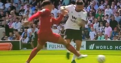 Dermot Gallagher gives verdict on Virgil van Dijk penalty decision against Liverpool