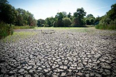 Summer drought: South-east England clocks up most days with little or no rain since 1976