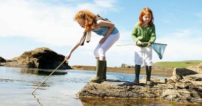 The best beaches in Scotland to go rock pooling with the kids