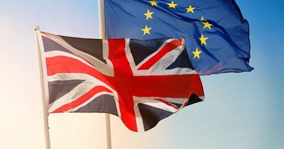 More than half of Irish businesses hit by increased regulatory burden due to Brexit