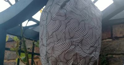 Shoppers praise £8.99 item that 'gets rid of wasps immediately'