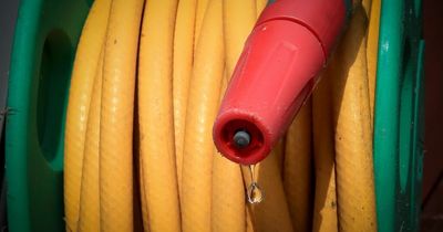 Five easy ways to use less water at home - and not just in a drought