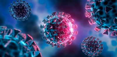 New COVID variants could emerge from animals or from people with chronic infections – but it's not cause for panic