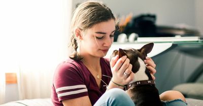 Dad slammed for making teen daughter rehome her dog for summer job