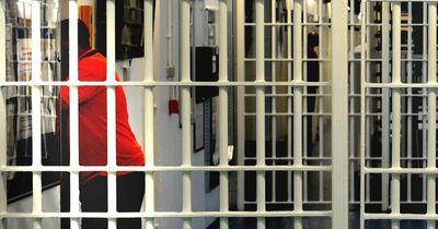 Jail bosses free 500 prisoners by accident and are 'putting the public at risk'