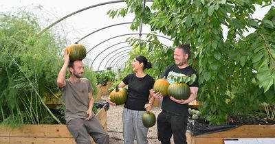 Camera captures Falkirk community groups reaping rewards food funding