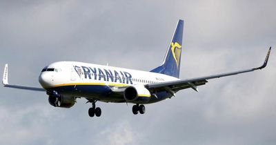 Mum 'terrified' as man 'cut eyeholes in paper to make mask' on Ryanair flight