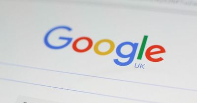 The 'secret' Google game to celebrate International Cat Day - and feline lovers can't get enough of it