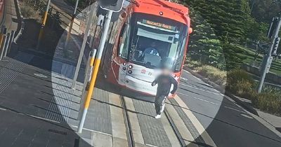 Newcastle Transport releases CCTV footage of light rail 'near misses'