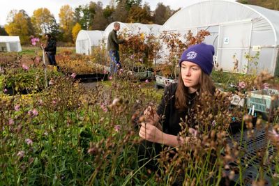 Huge appetite amongst young Scots to work in rewilding, charity reports