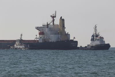 Two more grain ships leave Ukraine, bringing total to 12 under new deal