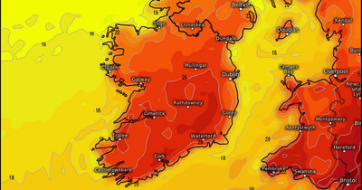 Met Eireann issue 'uncomfortably' warm forecast for Dublin as mercury to soar to near 30C