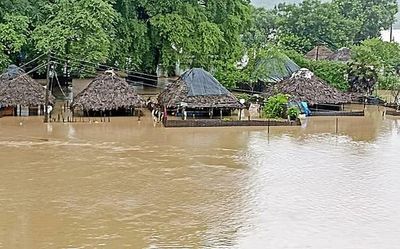 Watch| What happens when the Godavari river floods?