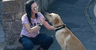 Animal lover launches food bank for dogs to provide for hungry pets during cost of living crisis