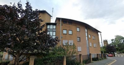 Plans for trendy 'co-living' space for hundreds of 20-somethings with TV room, gym and garden