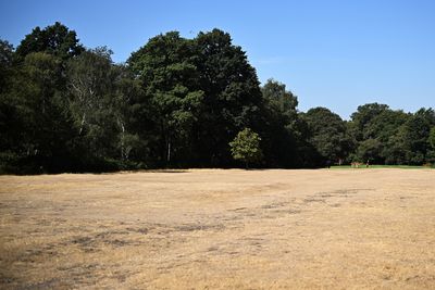 UK issues new 'extreme heat' warning for England and Wales