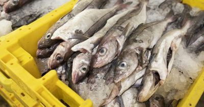 Record prices for cod and haddock on Grimsby Fish Market