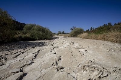 Tourist boats marooned, farm land parched as drought lowers Europe's rivers