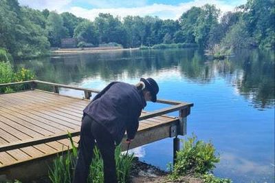 Two teenage girls report rape and sexual assault at Highams Park lake