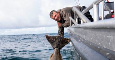 British angler, 45, smashes record after reeling-in 7ft monster fish weighing 28 STONE