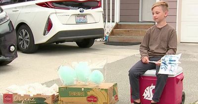 Boy, 11, selling lemonade outside his home cruelly scammed by man using fake money