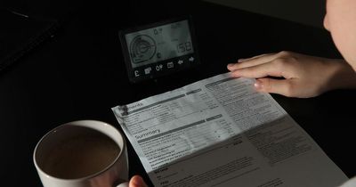 Average household energy bills to hit £355 a month this winter