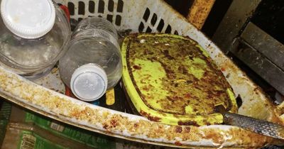 Inspectors release stomach-churning pictures as they close down Chinese takeaway
