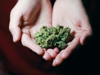 Study: Dangerous Synthetic Cannabinoids Poisonings Are Less Common In Legal Cannabis States